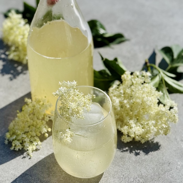 Holunderblüten-Wasserkefir