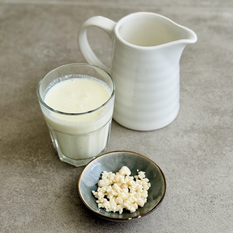 Milchkefir selberzüchten für deinen Darm